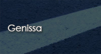 Genissa