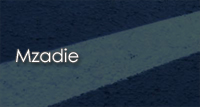 Mzadie