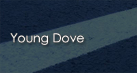 Young Dove